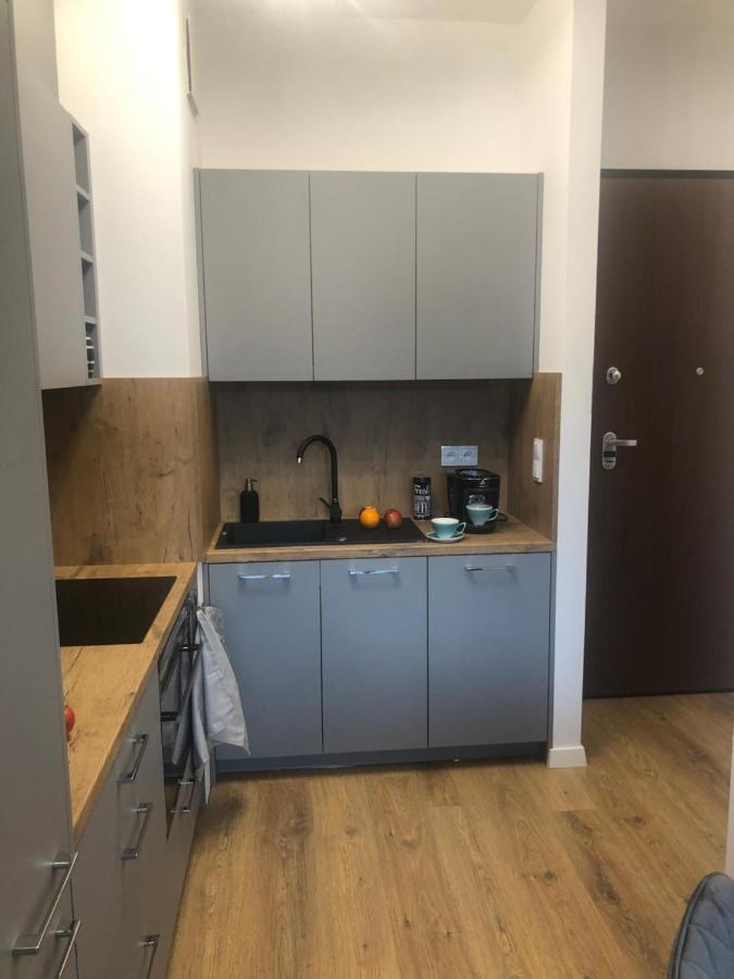 Central Point Apartament, Browary Warszawskie , Free Wifi, Fv Βαρσοβία Εξωτερικό φωτογραφία
